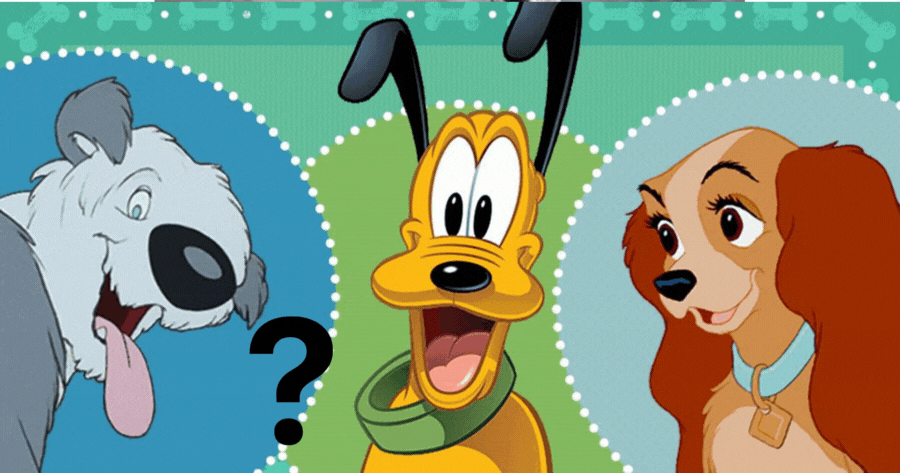Choose Your Zodiac Sign And We'll Decide Whcih Disney Pet Are You?