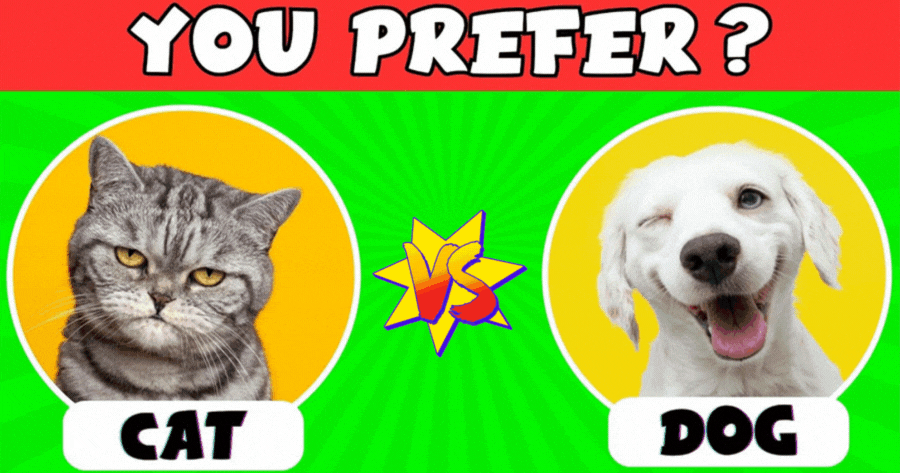 Who Wins Your Heart? Cast Your Vote For The Ultimate Cuteness - Dog 🐶 Or Cat 🐱! Let The Fluff Battle Begin! 🗳️💖