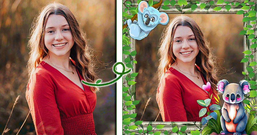 Hang Out With Koalas In Our Picture Perfect Frame 🐨