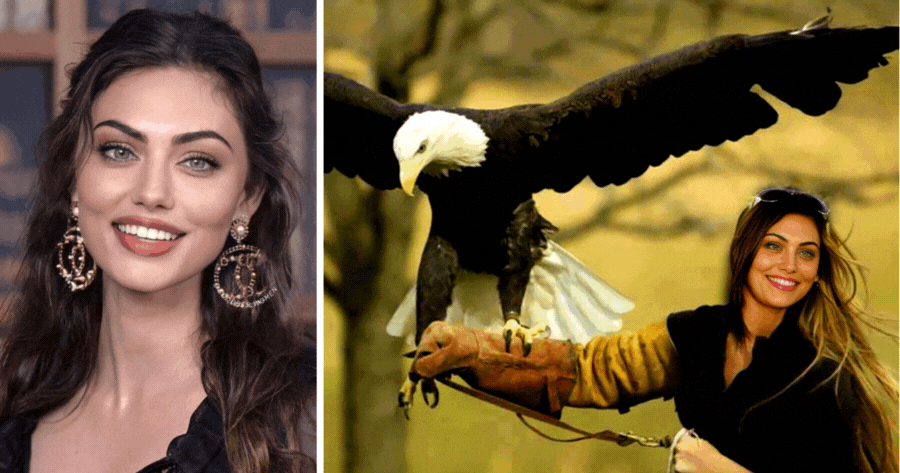 Turn Yourself Into A Falcon Trainer Here!