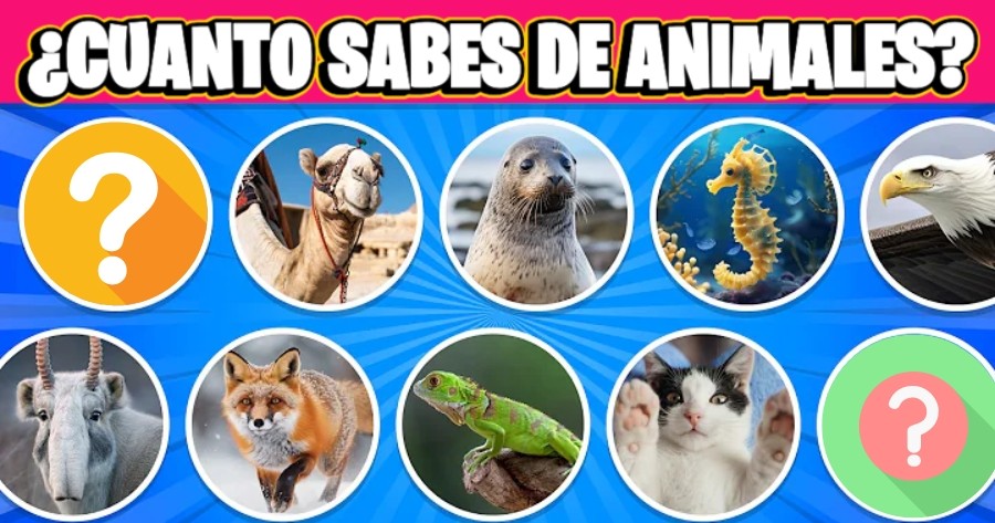 &iquest;Puedes Responder Correctamente A Estas Preguntas Sobre Los Animales?