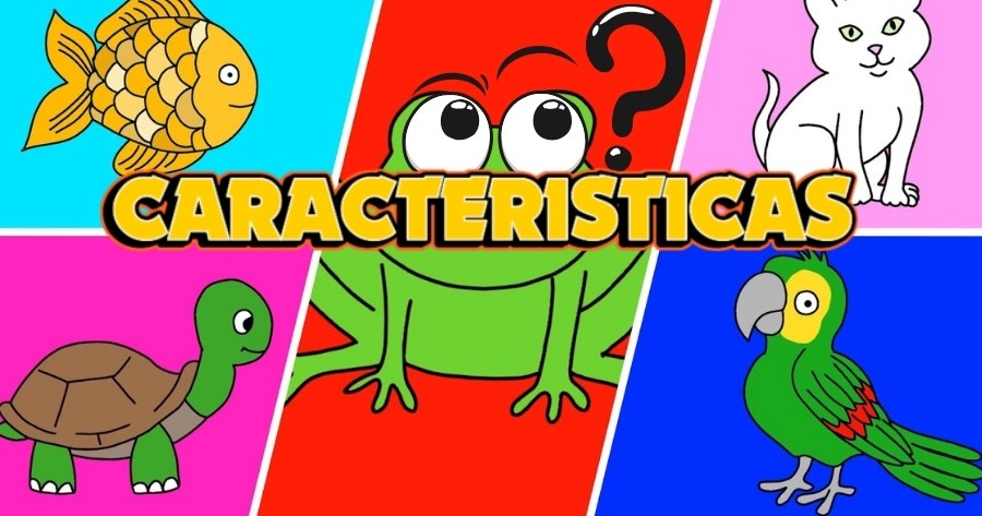 &iquest;Conoces Las Caracter&iacute;sticas De Diferentes Animales?
