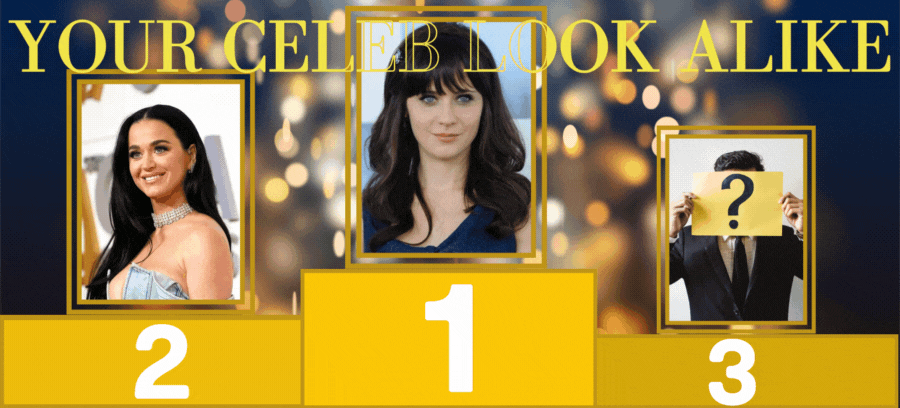 What Are Your Top 3 Celebrities Lookalikes?