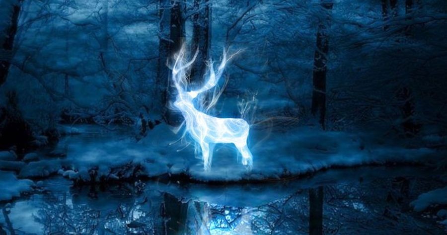 What Animal Is Your Patronus?