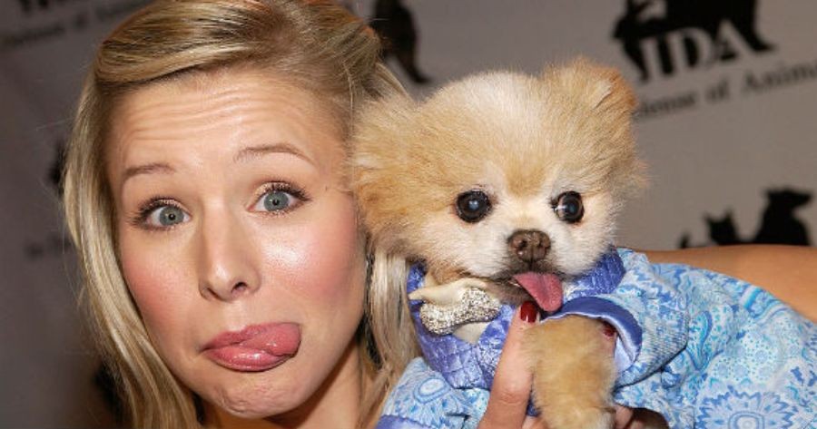 Milyen &aacute;llat vagy?