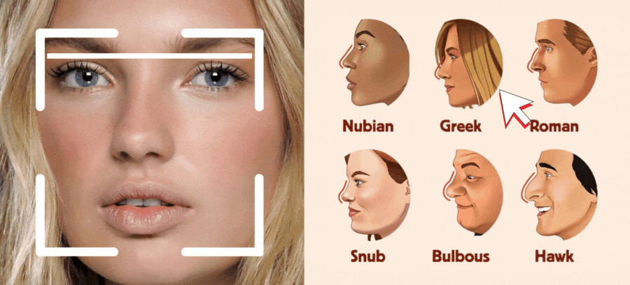 Which Nose Suits Best Your Face?