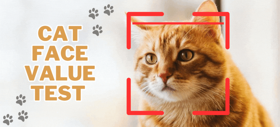 An animated gif file from hlwdtestbucket on April 28, 2024, with the hash value 101c8634898389acdbae0b06c6cd8eac