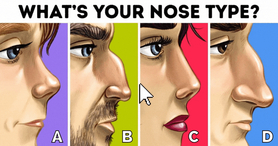 Discover Your Facial Harmony! | Which Type Of Nose Best Fits Your Face? 👃✨