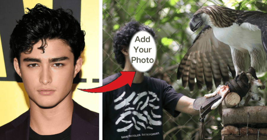 Generate The Photo With Eagle For Free