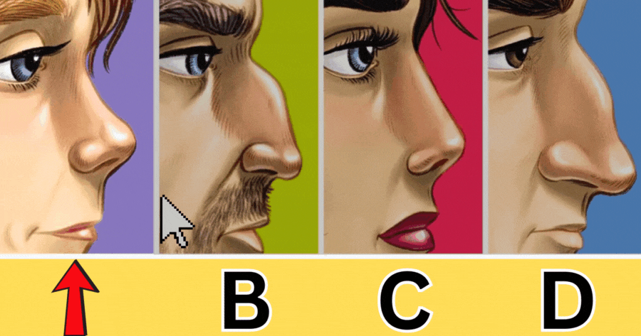&iquest;Qu&eacute; Secretos Sobre Tu Personalidad Revela La Forma De Tu Nariz? 👃💫