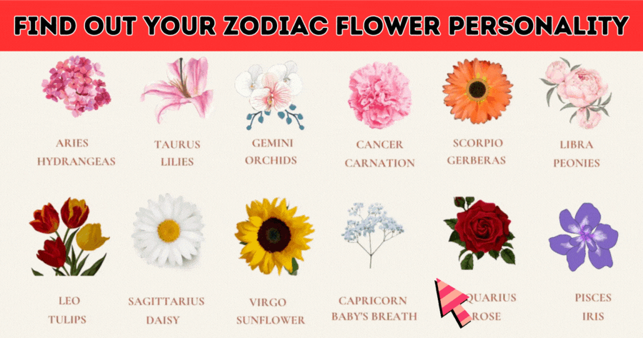 Find Out Your Zodiac Flower! Test Now
