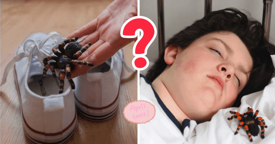 Welche Art von Streichen Erlebst Du am 1. April?