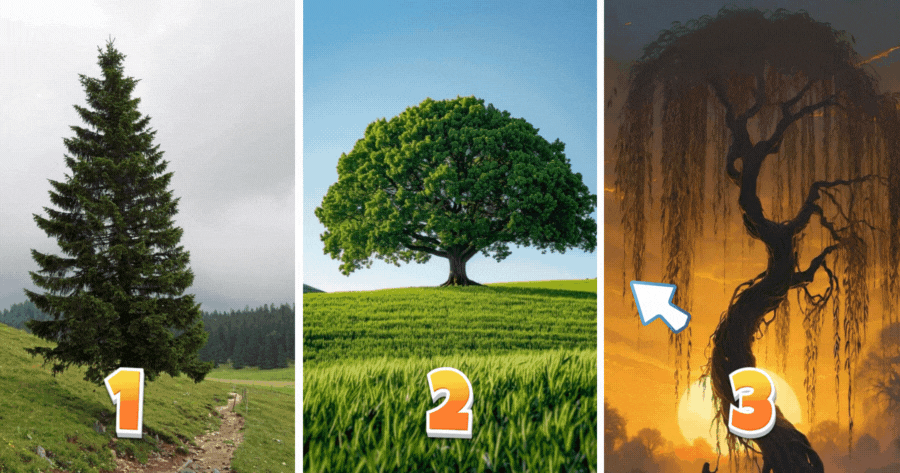 Was ist Ihr Geburtsbaum?