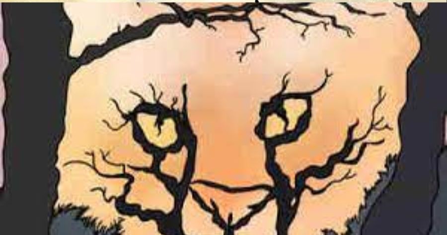 Điều Bạn Nh&igrave;n Thấy Đầu Ti&ecirc;n N&oacute;i Rất Nhiều Về T&iacute;nh C&aacute;ch Của Bạn