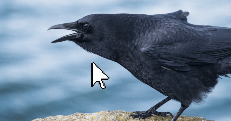 Toque no Corvo para Descobrir o que Outros Odeiam em Voc&ecirc;