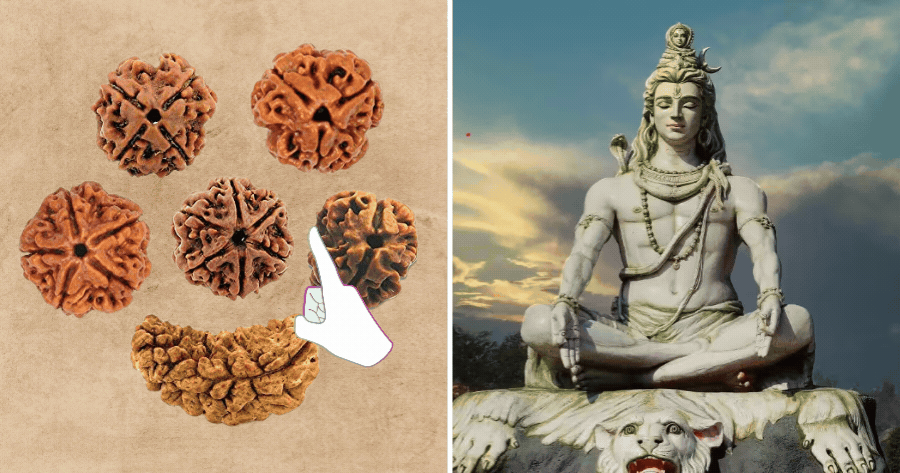 Choose A Rudraksha To Unlock Your Luck From Lord Shiva