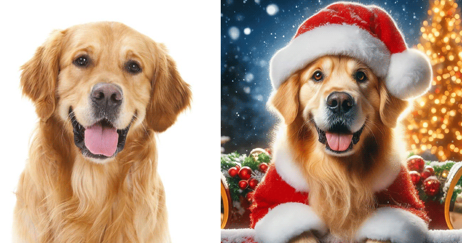 Evcil Hayvanınızın Noel Fotoğraflarını &Ccedil;ekin