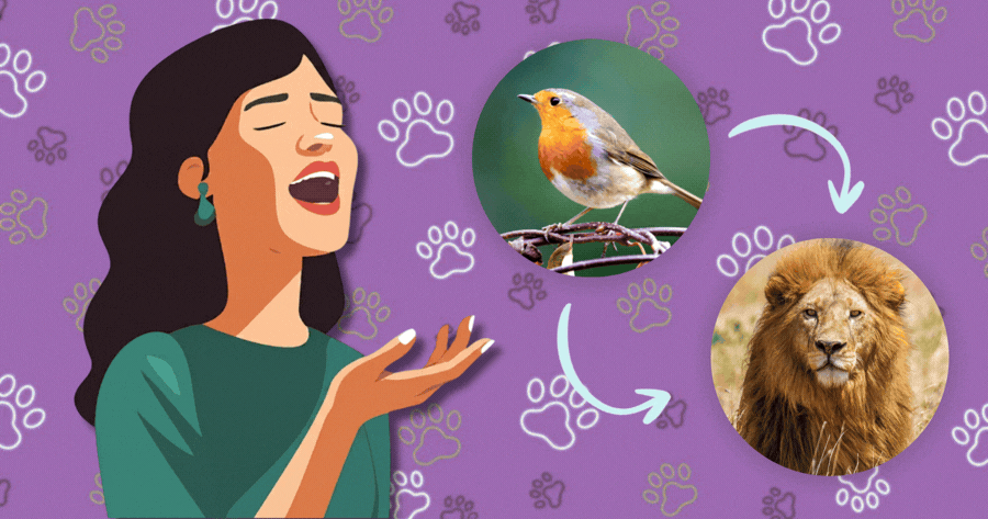 What Animal Does Your Voice Belong To?