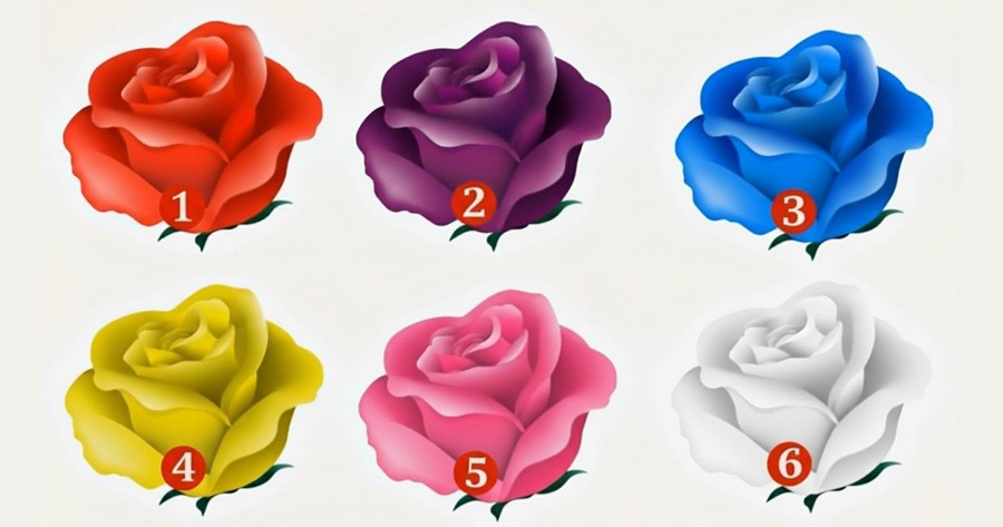 Choose A Flower To Find Your Secret Admirer!