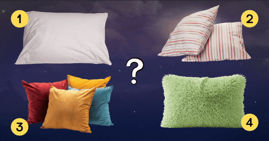 You Are Either Born LAZY Or A WORKAHOLIC. Touch The Pillow!