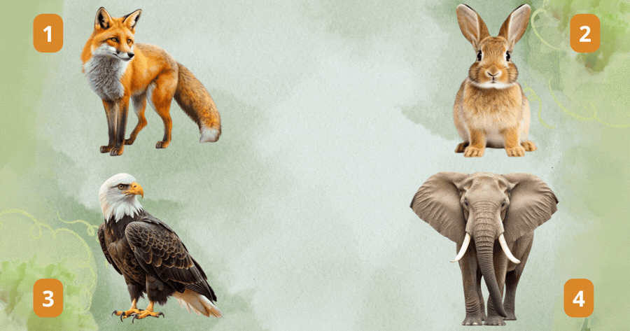 Choose An Animal To See Who Is Secretly Jealous Of You