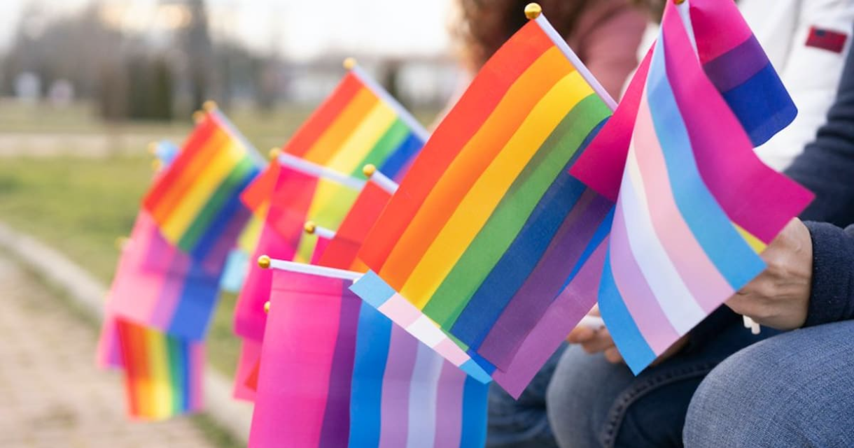 If You Can't Identify These LGBTQ+ Flags Then No Pride For You