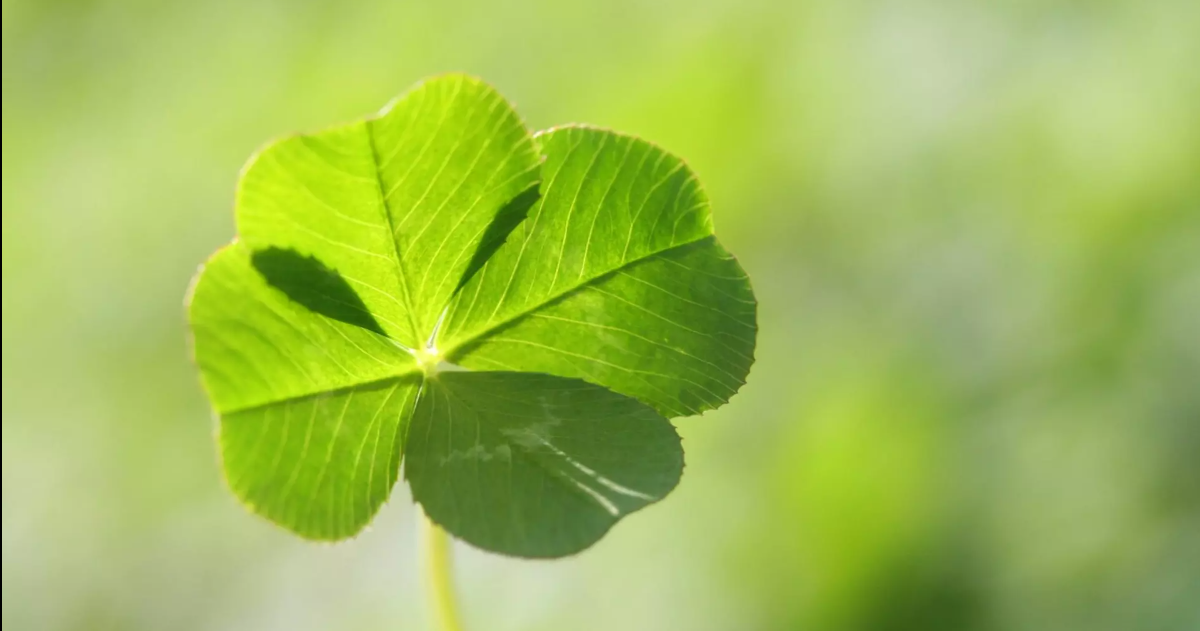 How Lucky Are You?