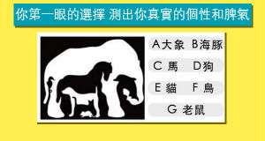 你第壹眼的選擇 測驗你的個性和脾氣