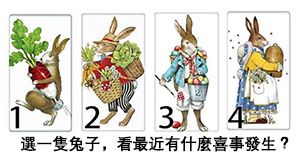 選一隻兔子，看看你最近會發生什麼喜事？