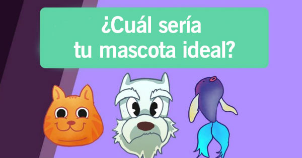 &iquest;Cu&aacute;l ser&iacute;a tu mascota ideal?