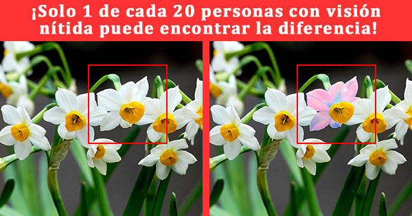 [Juego]&iquest;Qu&eacute; tan n&iacute;tida es tu visi&oacute;n?