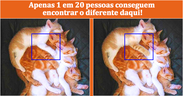 Apenas 1 em 20 pessoas conseguem encontrar o diferente daqui!