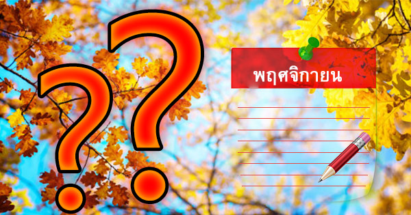 หากนึกถึงเดือนพฤศจิกายน คำใดสื่อเป็นคุณที่สุด?