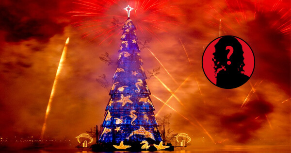 Find Out What Your Christmas Tree Says About Your Personality