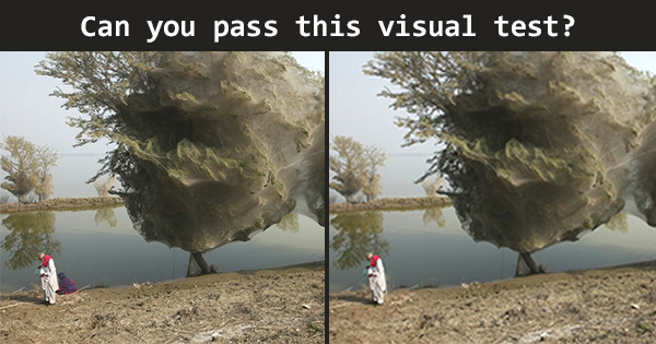 Can you pass this visual test?