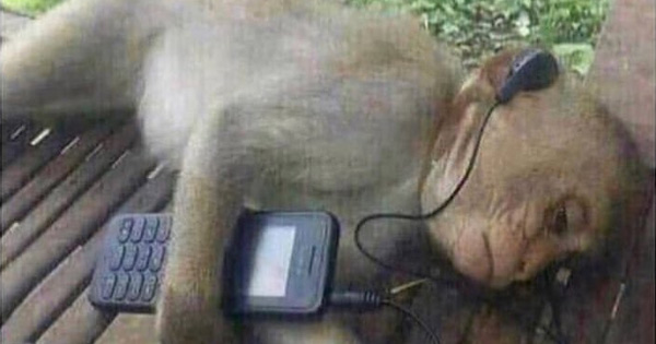 The music type you like can define you!