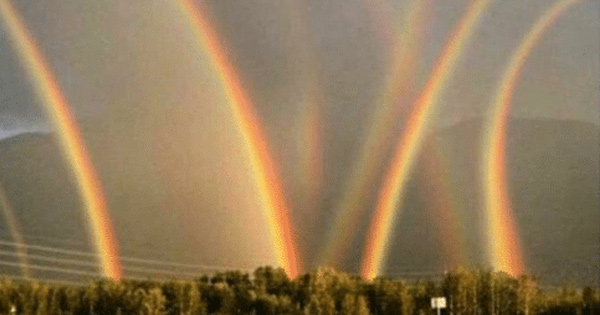 Fenomena kuasa alam yang manakah menunjukkan makna sebenar nama Anda?