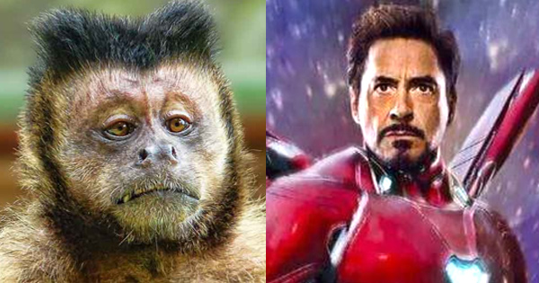  &iquest;Qu&eacute; color de cabello debes elegir seg&uacute;n tu personalidad?