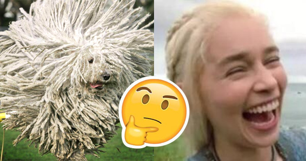  &iquest;Qu&eacute; color de cabello debes elegir seg&uacute;n tu personalidad?