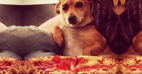 &iquest;Qu&eacute; quiere decirte tu comida favorita?