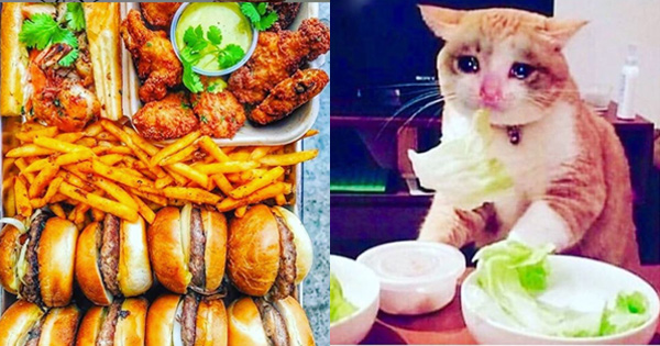 20221223 上传的 gif 图片，链接为 https://hlwdtestbucket.s3.us-west-2.amazonaws.com/quiztest/Uploads/imgQ/