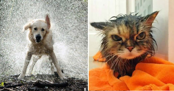 Como seria a sua foto rom&acirc;ntica na chuva?