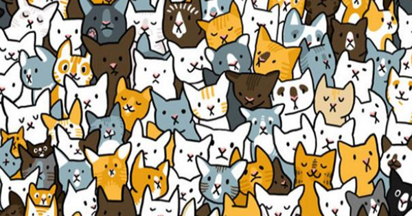 &iquest;Puedes encontrar el objeto escondido en la imagen?