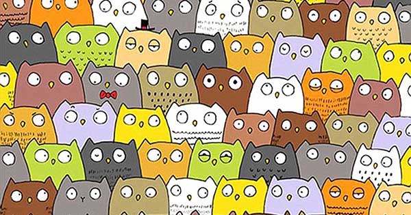 Voc&ecirc; consegue encontrar o objeto escondido da imagem?