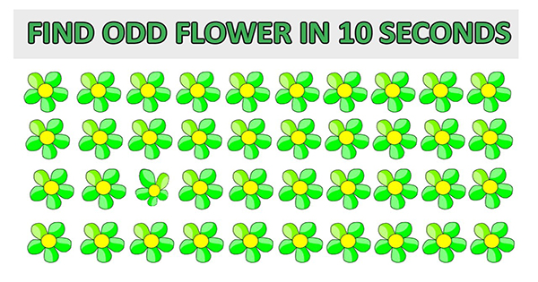 [Jogos] Identifique o diferente na figura!