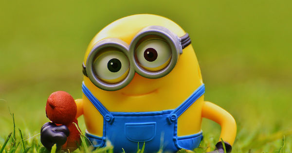 Consigue tu marco de naturaleza personalizado 