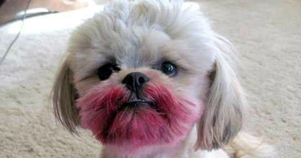 Which Lipstick Color Is Right For You?