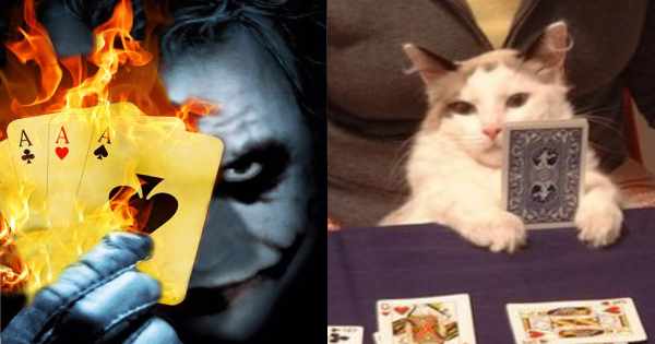 You received Joker's notice card!