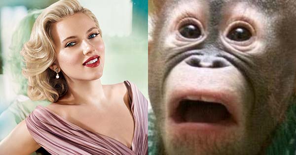 Como as pessoas realmente te veem?