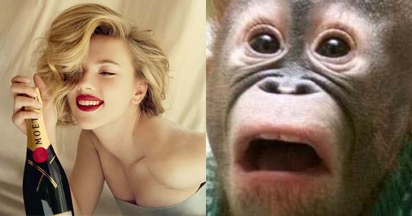 Como os outros acham que voc&ecirc; &eacute;?